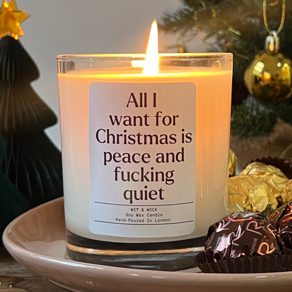 All I Want For Christmas Is Peace And Fucking Quiet